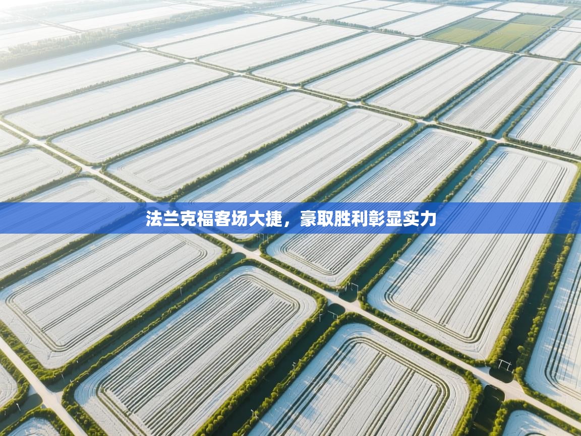 法兰克福客场大捷，豪取胜利彰显实力  第2张